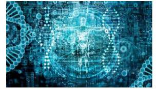 Summer school for early career scientists