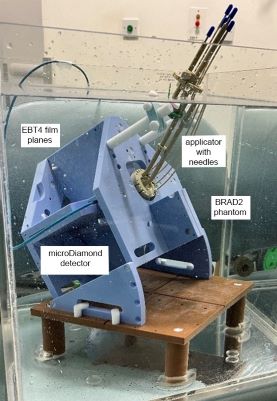 HDR Brachytherapy End-to-End Dosimetry Audit System (BRAD2)