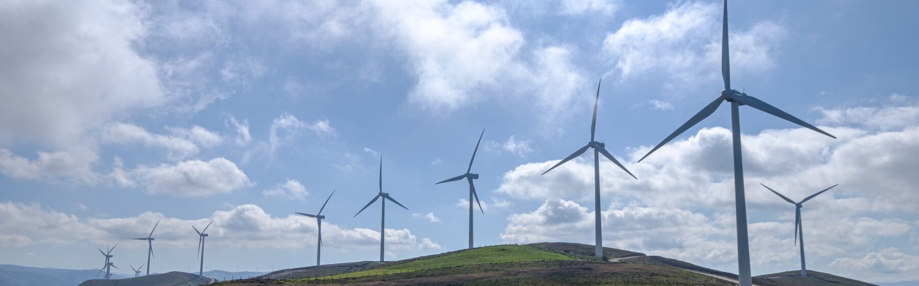 IPEM Environmental Sustainability Committee