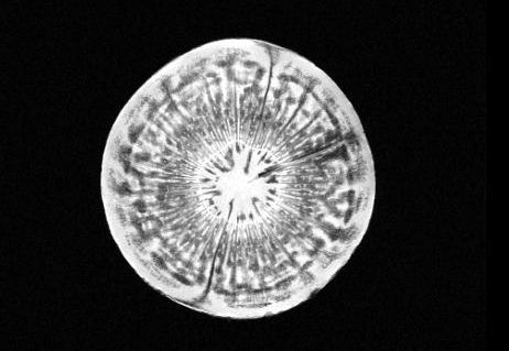 Diagnostic Scans activity - quizzes