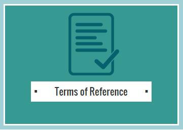 SIG Terms of Reference 2025