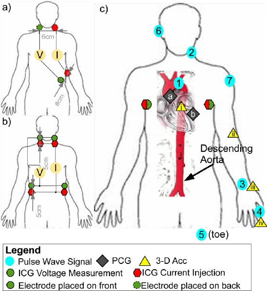 Physiological Measurement Special Interest Group