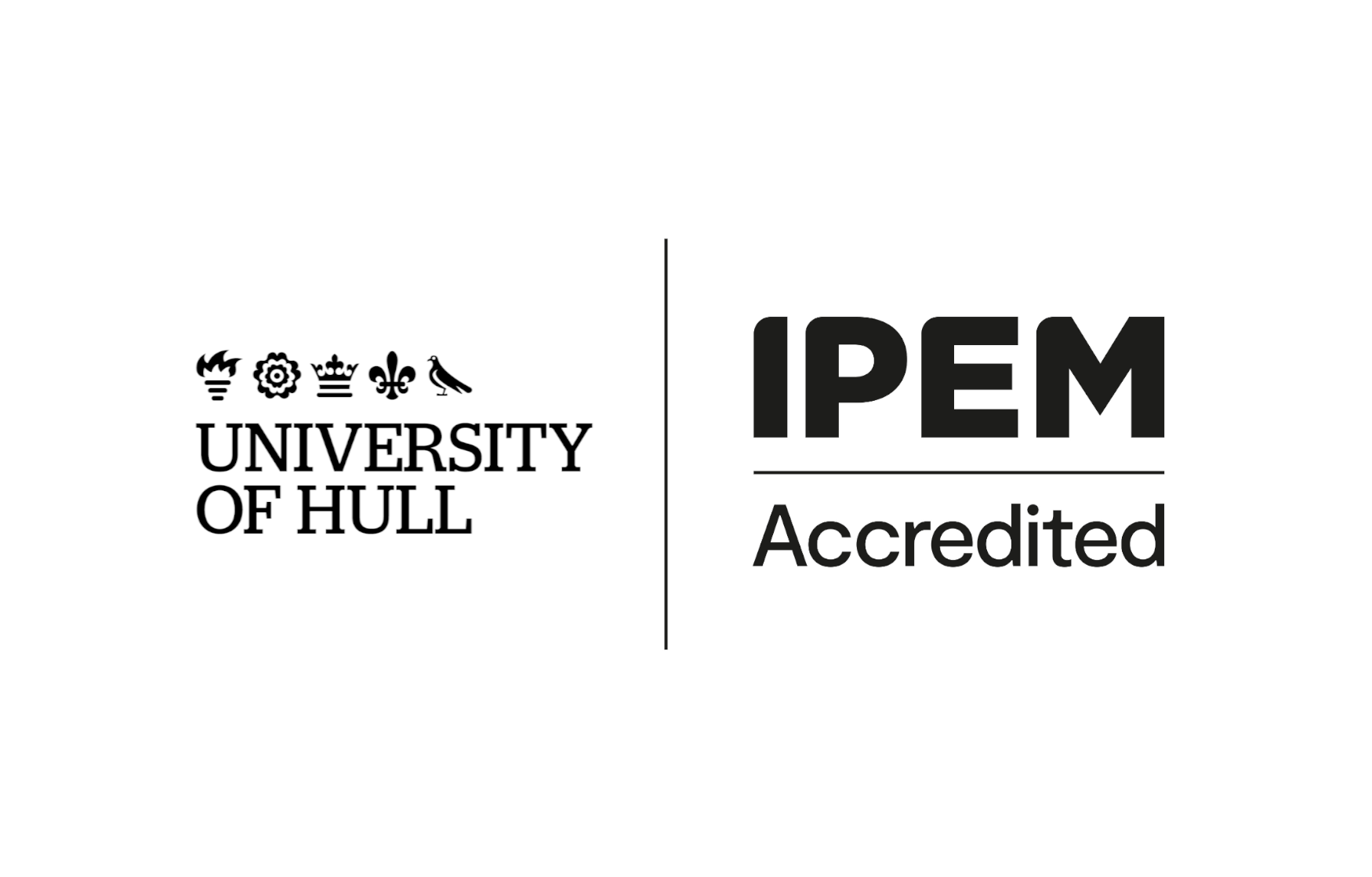 University of Hull - Biomedical Engineering [BEng(Hons)]