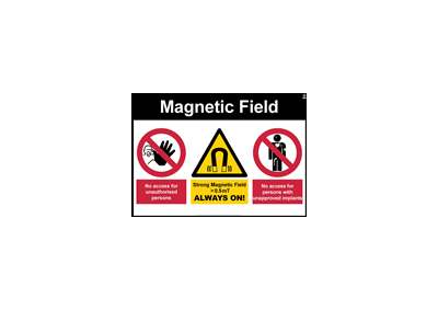 Magnetic Field (landscape)